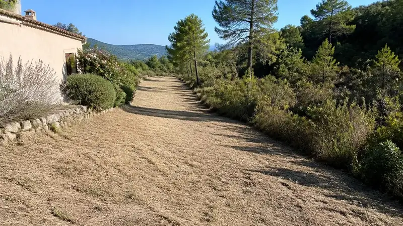 Terrain débroussaillé autour d'une maison, avec arbres espacés et sol dégagé
