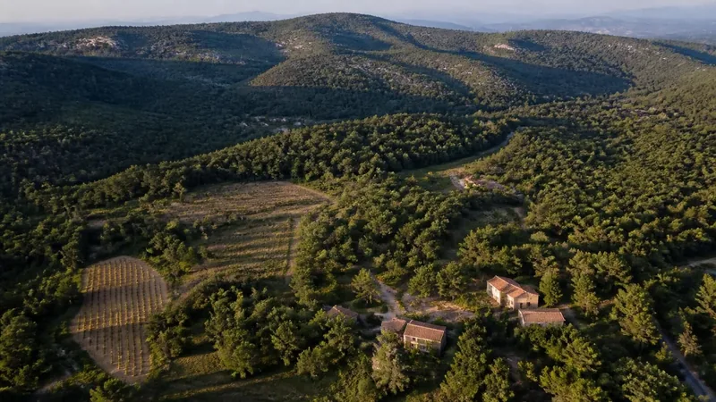 Collines couvertes de pins et de chênes autour de Rocbaron