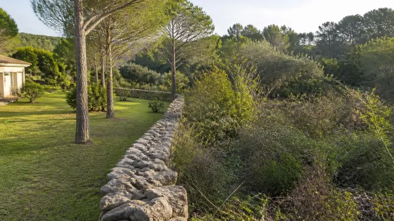 Limite entre deux terrains, l'un débroussaillé, l'autre encore en garrigue